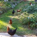 Bed & Breakfast Le Jardin De Jean 3*