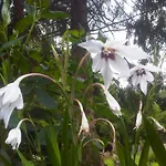 Le Jardin De Jean Bed & Breakfast 3*