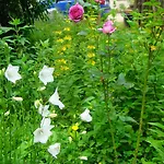 Le Jardin De Jean Saint-Jean-aux-Bois (Oise)