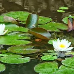 Le Jardin De Jean Saint-Jean-aux-Bois (Oise)