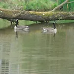 Le Jardin De Jean Saint-Jean-aux-Bois (Oise)