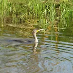 Le Jardin De Jean Bed & Breakfast Saint-Jean-aux-Bois (Oise)