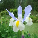 Le Jardin De Jean 3* Saint-Jean-aux-Bois (Oise)