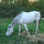 Bed & Breakfast Le Jardin De Jean Saint-Jean-aux-Bois (Oise)