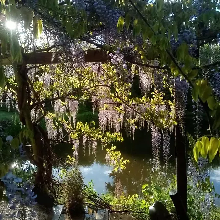 Couette-café Le Jardin De Jean Saint-Jean-aux-Bois (Oise)