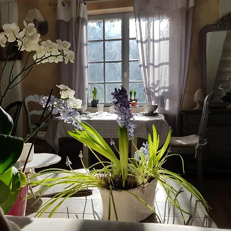 Le Jardin De Jean Saint-Jean-aux-Bois (Oise)