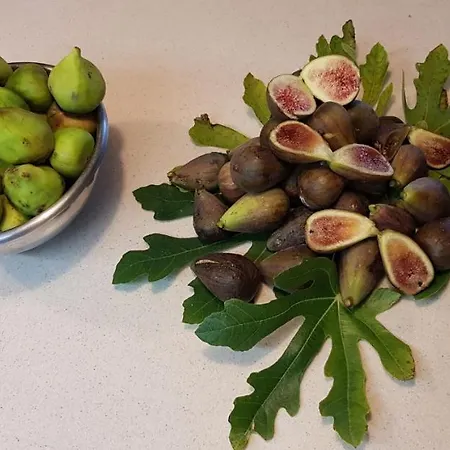 Couette-café Le Jardin De Jean