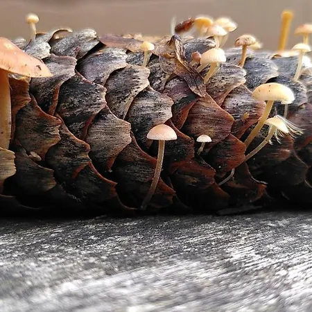 Le Jardin De Jean 3*