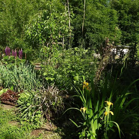 Le Jardin De Jean Couette-café 3*