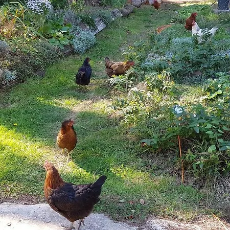 Couette-café Le Jardin De Jean 3*