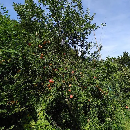 Le Jardin De Jean B&B