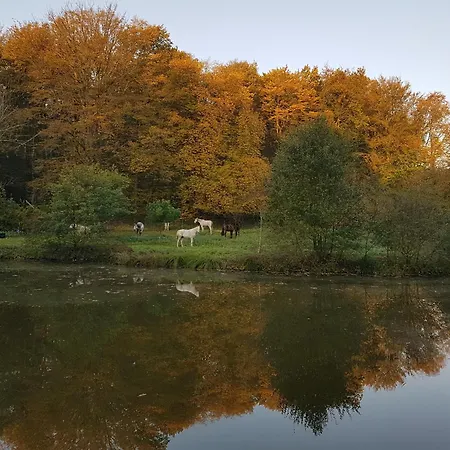 Le Jardin De Jean Bed & Breakfast Saint-Jean-aux-Bois (Oise)