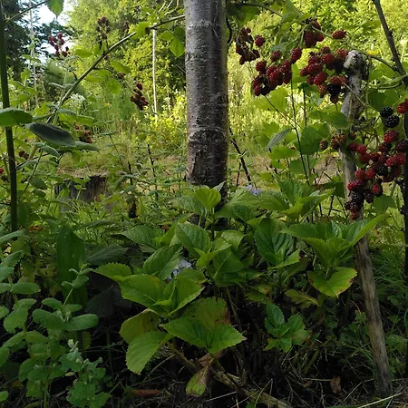 Le Jardin De Jean B&B 3*