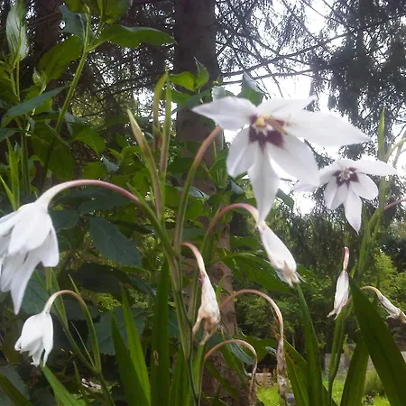 Le Jardin De Jean Couette-café 3*