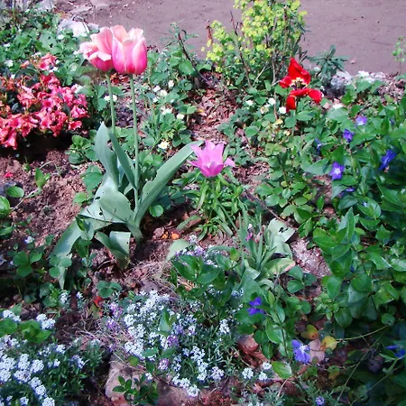 Bed & Breakfast Le Jardin De Jean Saint-Jean-aux-Bois (Oise)