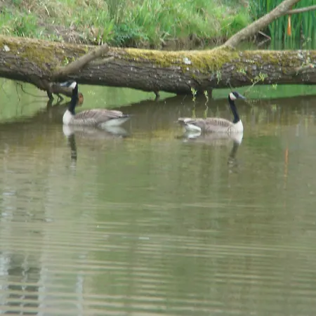 Le Jardin De Jean Saint-Jean-aux-Bois (Oise)