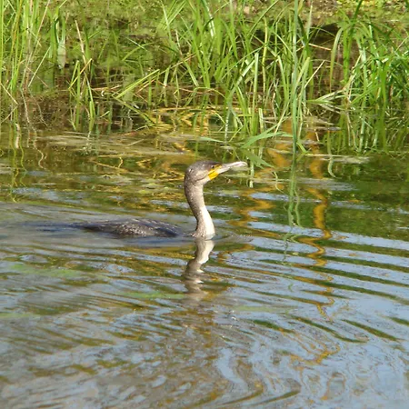 Le Jardin De Jean Couette-café Saint-Jean-aux-Bois (Oise)