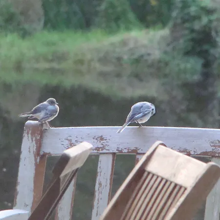 Couette-café Le Jardin De Jean 3*