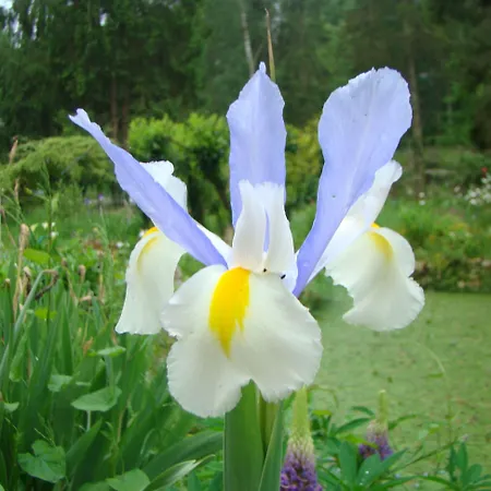 Le Jardin De Jean 3* Saint-Jean-aux-Bois (Oise)
