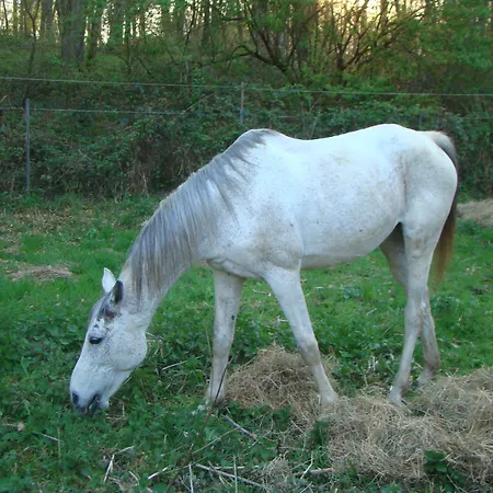 Couette-café Le Jardin De Jean Saint-Jean-aux-Bois (Oise)