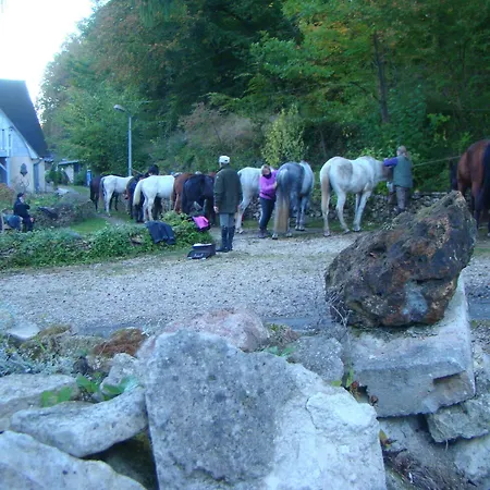 Le Jardin De Jean Saint-Jean-aux-Bois (Oise)
