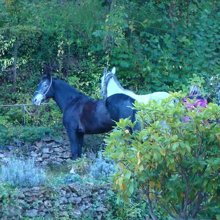 Le Jardin De Jean Bed & Breakfast Saint-Jean-aux-Bois (Oise)