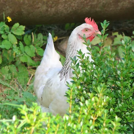Le Jardin De Jean Bed & Breakfast 3*