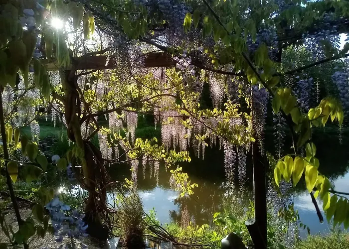 Bed & Breakfast Le Jardin De Jean Saint-Jean-aux-Bois (Oise)