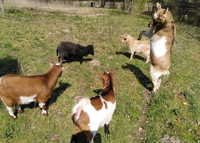 Le Jardin De Jean Saint-Jean-aux-Bois (Oise)
