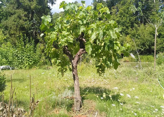 Bed & Breakfast Le Jardin De Jean 3*