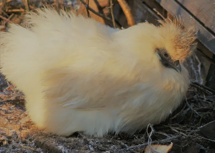 Le Jardin De Jean Bed & Breakfast