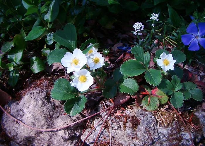 Le Jardin De Jean Bed & Breakfast 3*