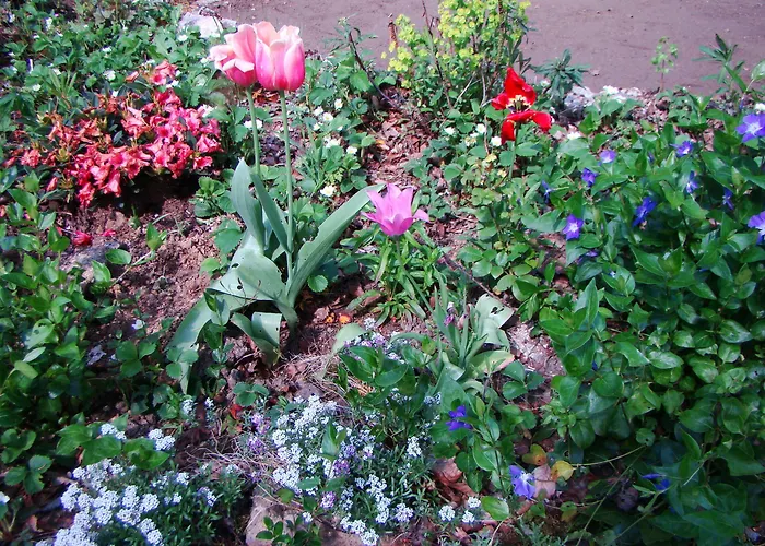 Bed & Breakfast Le Jardin De Jean Saint-Jean-aux-Bois (Oise)