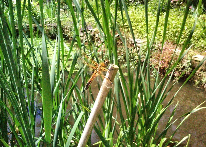 Le Jardin De Jean Bed & Breakfast