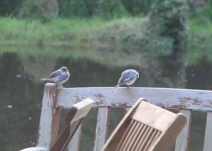 Bed & Breakfast Le Jardin De Jean 3*