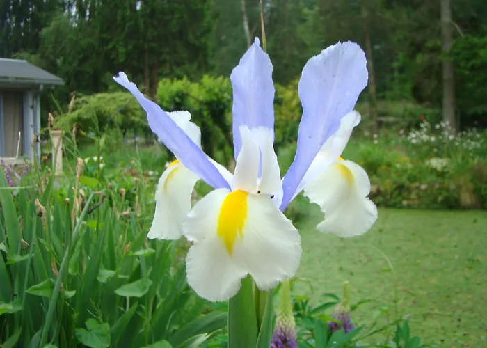 Le Jardin De Jean 3* Saint-Jean-aux-Bois (Oise)